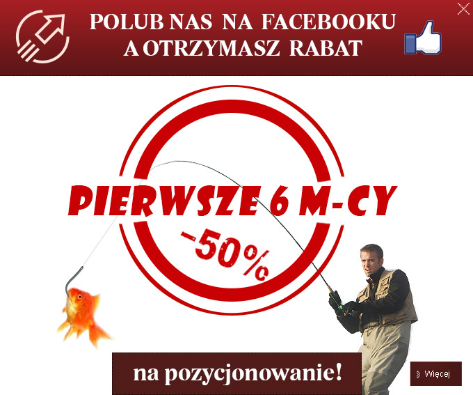 Promocja na pozycjonowanie - 50 %